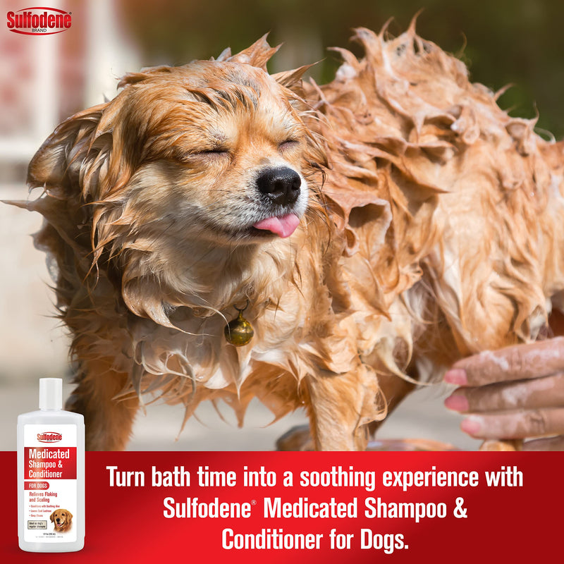 Sulfodene Medicated Shampoo & Conditioner for Dogs 12oz - BeesActive Australia