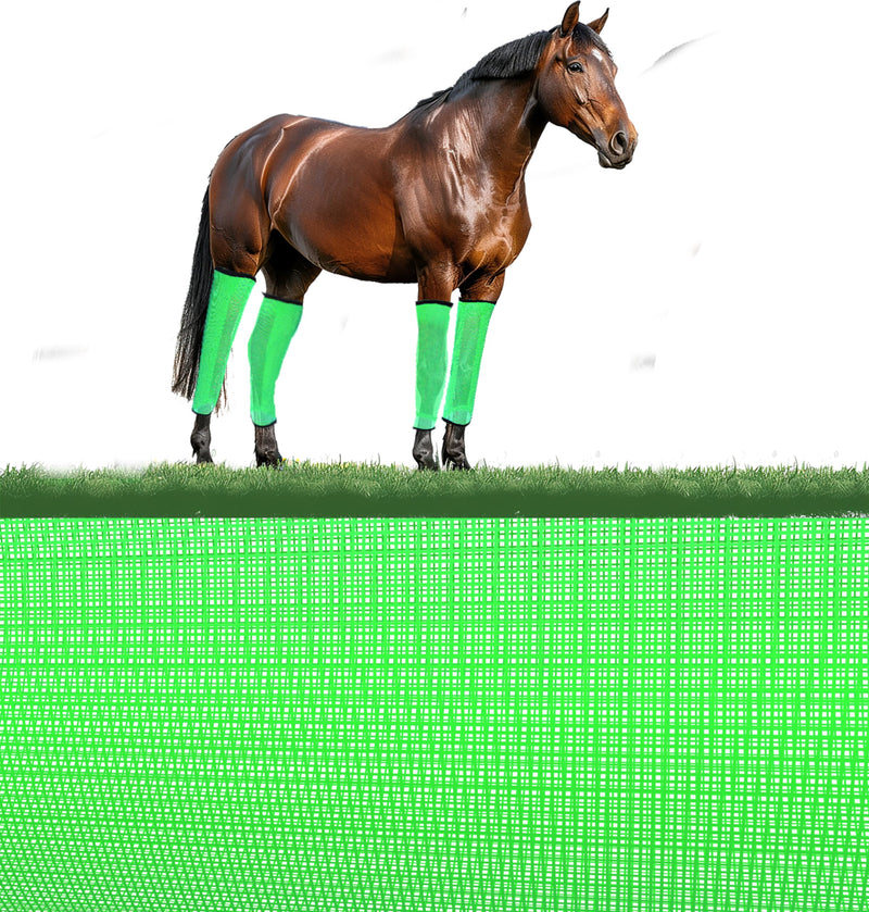 Mesh Fly Boots for Horses Set of 4 - Horse Leg Guards and Leg Wraps - Shield Your Equine Companion in Style - BeesActive Australia