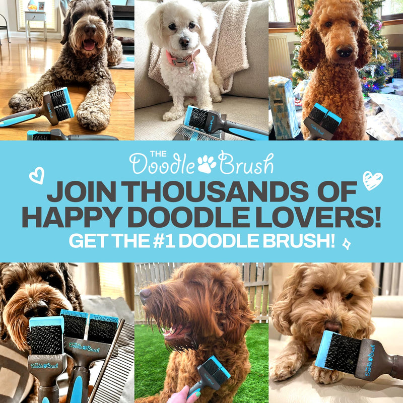 The Doodle Brush - dog comb, pet comb for Goldendoodles, Labradoodles & dogs with medium & long hair, dog comb poodle, metal comb, metal comb dog, dog comb long hair, metal grooming comb - BeesActive Australia