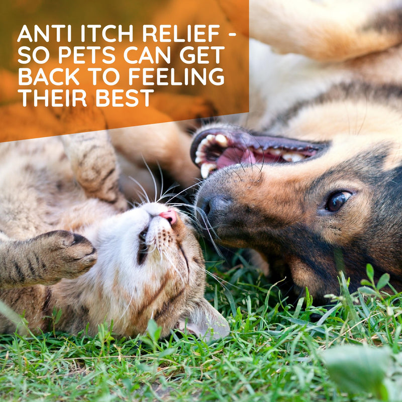 T-Relief Pet Allergy Support Drops for Dogs & Cats Itchy Relief Supports Healthy Skin & Coat Natural Medicine Helps Soothe Hot Spot Itching Paws Licking Runny Nose Sneezing Watery Eyes - 1.69 Fl oz - PawsPlanet Australia