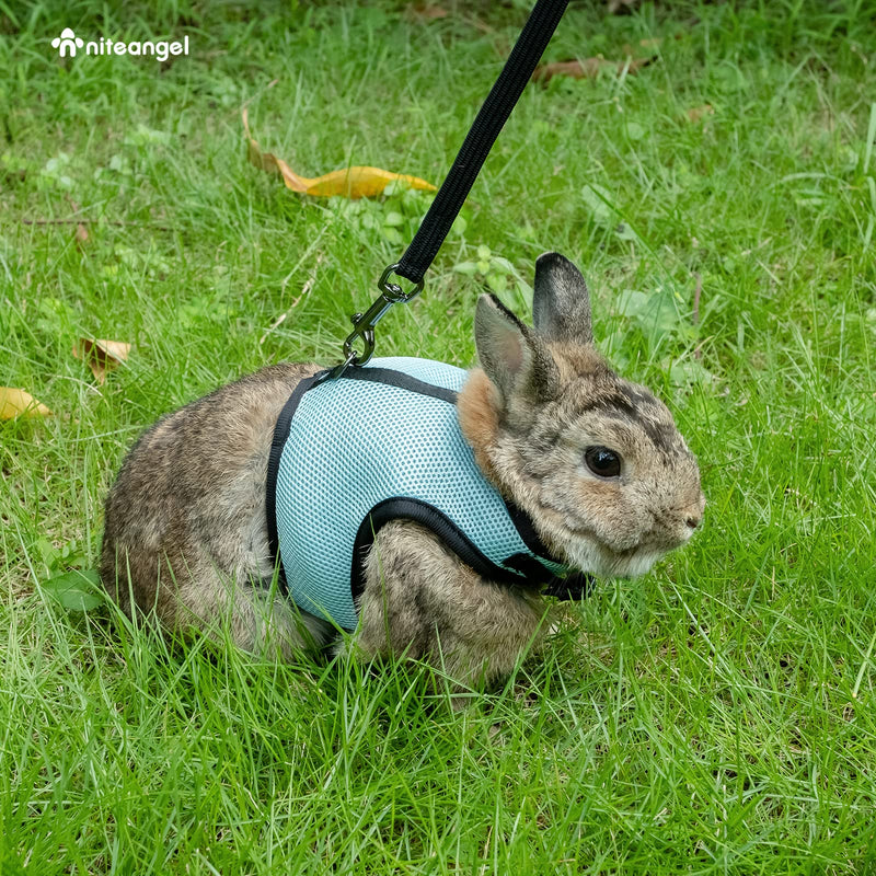 Niteangel Adjustable Soft Harness with Elastic Leash for Rabbits (L, Blue) L - BeesActive Australia