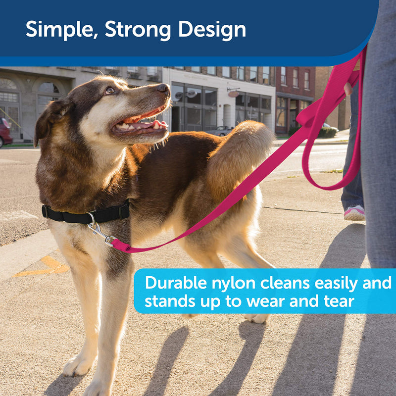 PetSafe Nylon Dog Leash – Strong, Durable, Traditional Style Leash with Easy to Use Bolt Snap for Small, Medium and Large Dogs - 3/4 in. x 6 ft., Raspberry 1 Count (Pack of 1) Raspberry Pink - BeesActive Australia