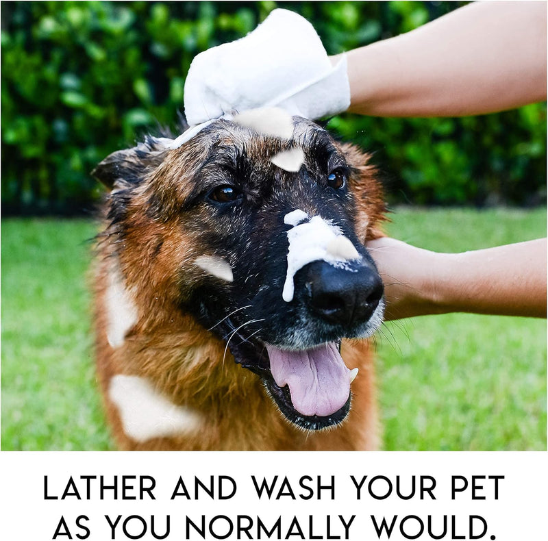 Scrubby Pet Pet Wipes, Rinse Free Shampoo Mittens for Dogs and Cats, Bath Wipes for Bathing and Washing Pets, Hypoallergenic No Rinse Wash Mitt for Grooming, Lather Wipe Dry 5 - Count Mittens - BeesActive Australia