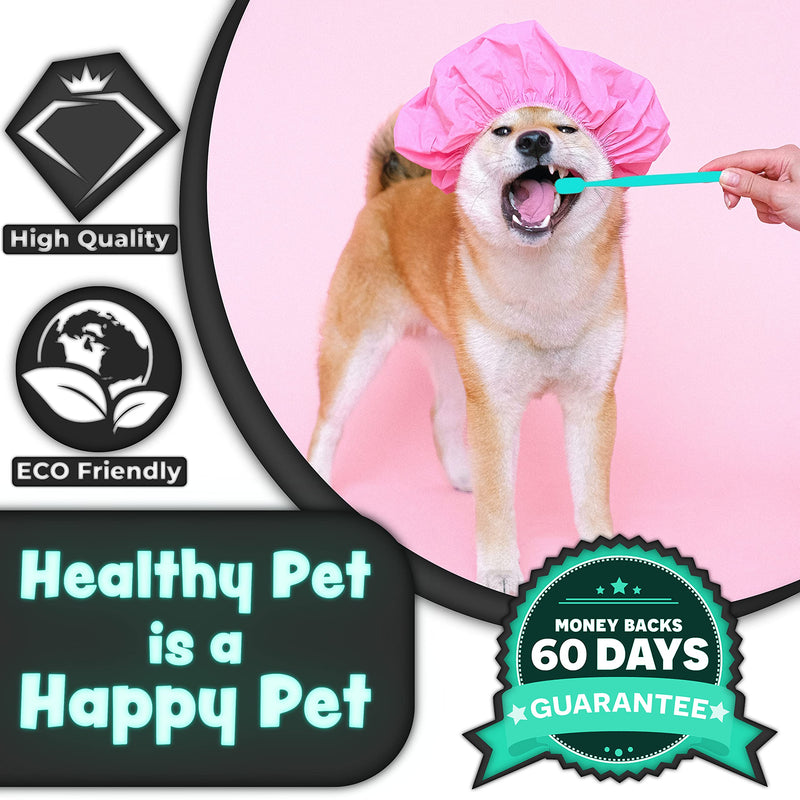 H&H Pets Toothbrush for Small Dogs & Cats - Soft and Small Toothbrush Designed for Cats, Puppies, and Small Breed Dogs Like Teacups, Chihuahuas, Yorkshire, and Poodle, 8 Count Pack 8 Count (Pack of 1) - PawsPlanet Australia