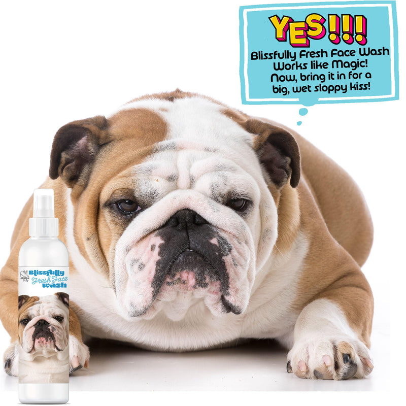 The Blissful Dog Blissfully Fresh Face Wash - Cleans Facial Folds and Wrinkles, 4-Ounce, Bulldog 4 Fl Oz (Pack of 1) - PawsPlanet Australia