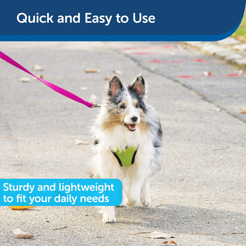 PetSafe Nylon Dog Leash – Strong, Durable, Traditional Style Leash with Easy to Use Bolt Snap for Small, Medium and Large Dogs - 3/4 in. x 6 ft., Raspberry 1 Count (Pack of 1) Raspberry Pink - BeesActive Australia