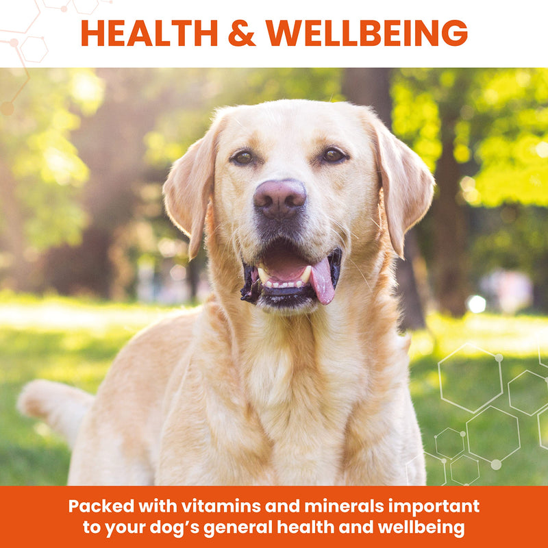 Vetzyme Once A Day Conditioning Tablets for Dogs (240 Tablets) - With B Complex Vitamins to Promote Fitness and Support a Healthy Immune System 240 Tablets