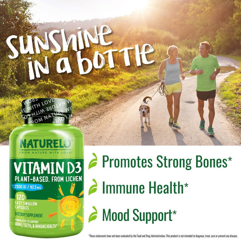 NATURELO Vitamin D3 2500 IU, Joint Support & Bone Health, 120 Count | Vegan D3 Supplement, Vitamin D Supplements for Immune System, Plant-Based Capsules, Non-GMO, Gluten Free Unflavored 120 Count (Pack of 1)