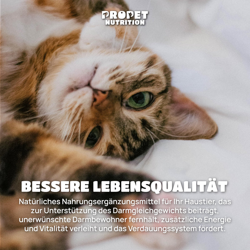 PROPET NUTRITION Worm treatment cat + probiotics + vitamins B. 100% natural. 120 tablets. Worm medication. Dewormer for cats. Worm treatment alternative for worm infestation - BeesActive Australia
