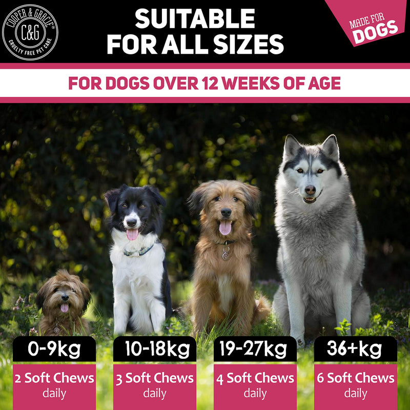 Anti-Itch Supplement For Dogs 60 Soft Chews | Itchy Skin And Skin Allergies | Maintains Skin Moisture & Maintains Respiratory Health | Supports Immune System | Veterinarian Formulated Dog Itchy Skin & Allergy Aid