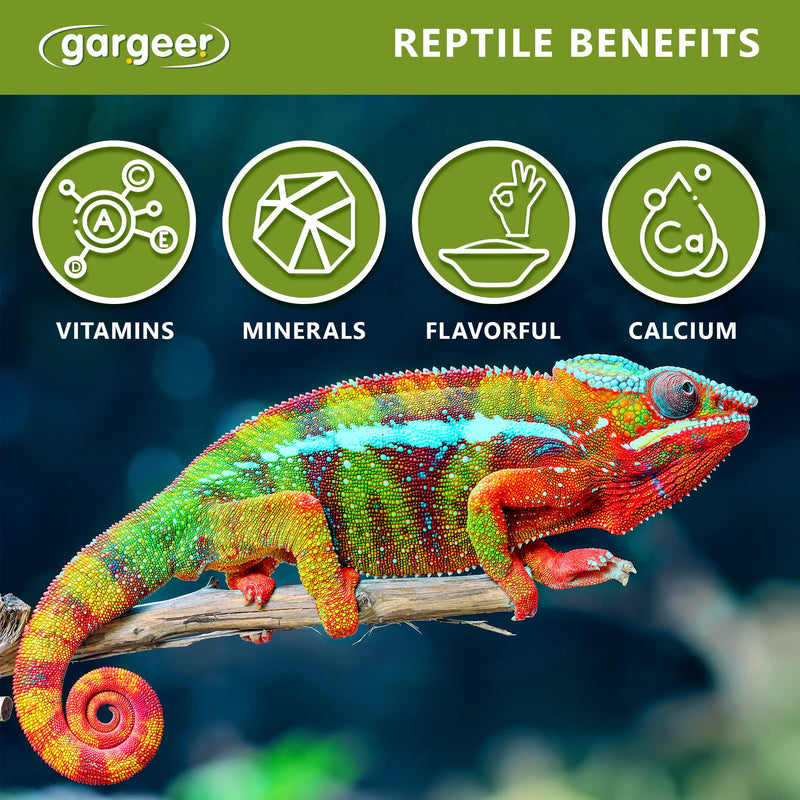 All Reptiles Color Enhancer. Magnify Vibrant Colors, and Boost Health with Much Needed Minerals and Vitamins. 2oz Pouch for Weekly Use. Enjoy! - PawsPlanet Australia