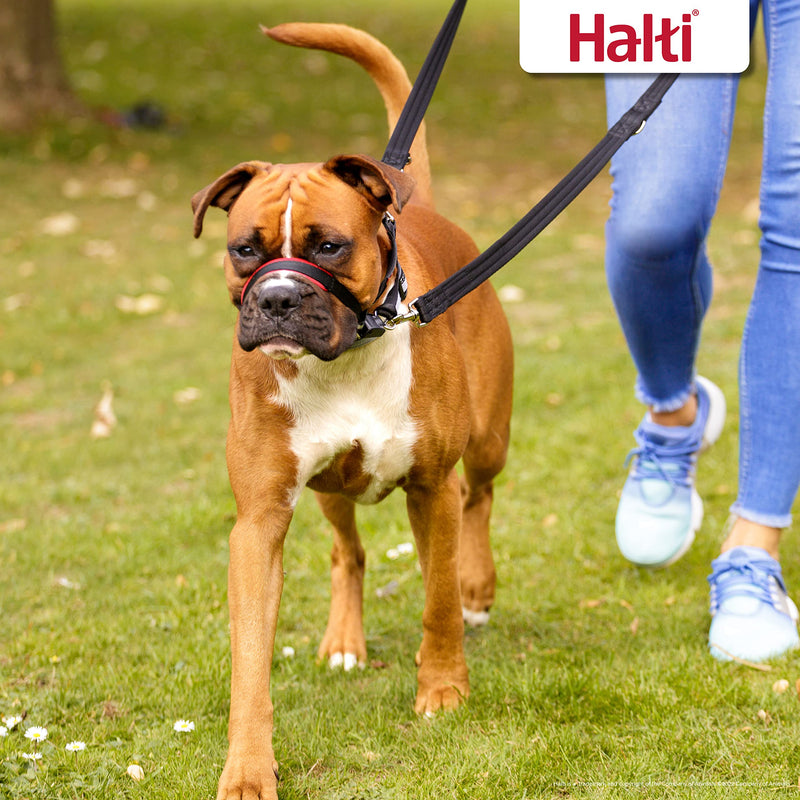 HALTI Optifit Headcollar Size Large & HALTI Training Leash Size Large, Black Combination Pack - Stop Your Dog Pulling on the Leash. Adjustable with Padded Nose Band. Suitable for Large Dogs - BeesActive Australia