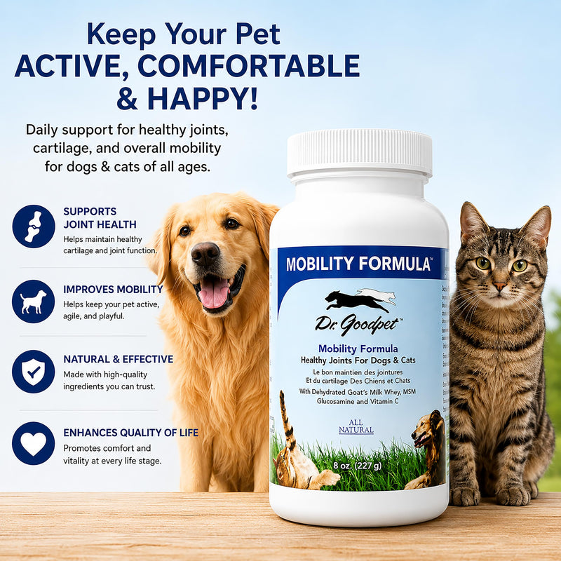 Dr. Goodpet Mobility Formula | All-Natural Hip & Joint Support Powder for Dogs & Cats with MSM, Glucosamine, Vitamin C and Goat’s-Milk Whey | Effective Joint Pain Relief for Active, Aging Pets