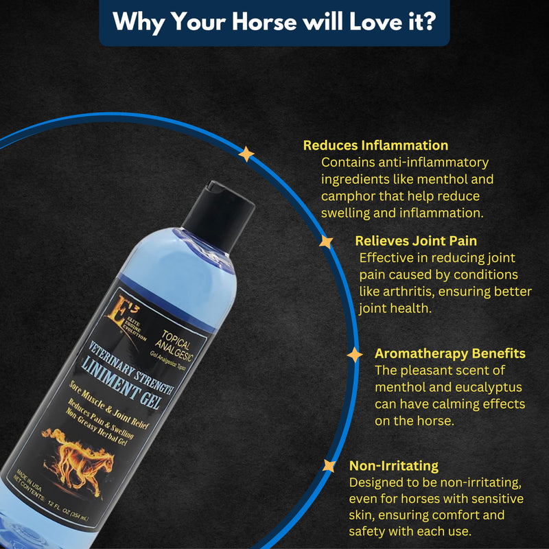 E3 Joint and Muscle Lin Non-Greasy Herbal Gel with Mint – 12 oz Cooling Botanical Equine Gel for Post-Workout Massage and Daily Comfort – Fast Absorbing, No Residue