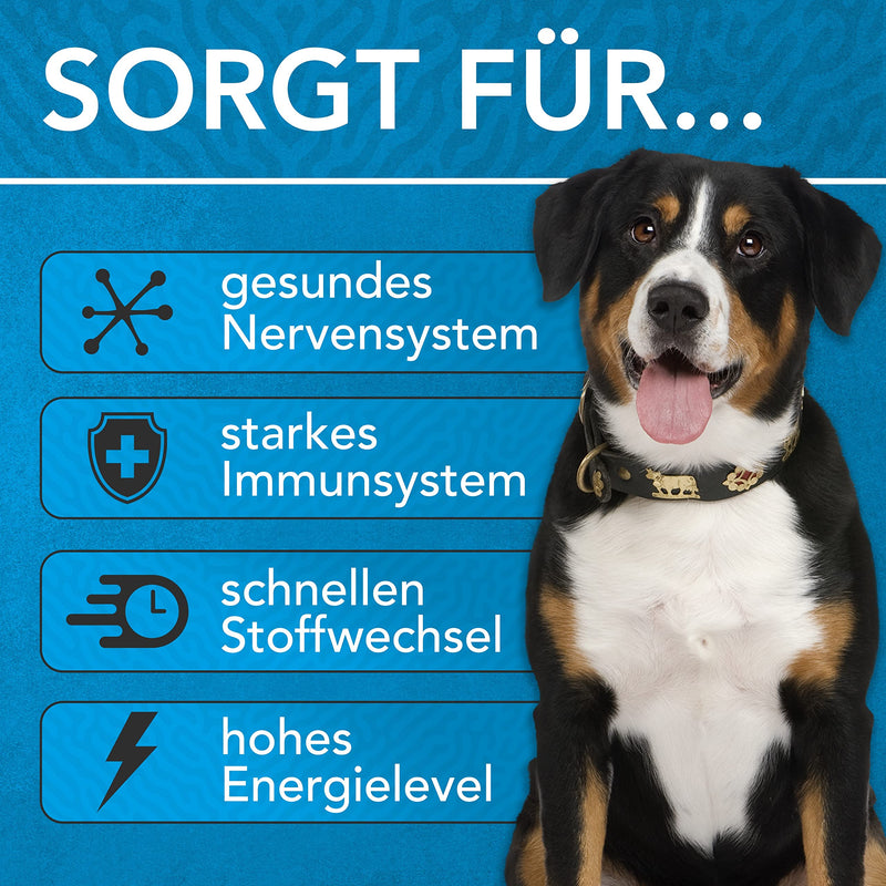 ENEMEL® Vitamin B Complex for Dogs [100ml] | Innovation through drops | Vitamin B Dog | all B vitamins included | Made in Germany 100ml - BeesActive Australia