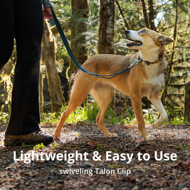 Ruffwear, Roamer Bungee Dog Leash for Running, Biking or Hiking, Can be Used Hand-Held or Hands-Free, Yellow Snow, 7.3'-11' 7.3'-11' - BeesActive Australia