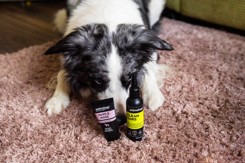 Animology Clean Ears Vegan Gentle & Effective Soothing Dog Ear Cleaning Solution 100ml
