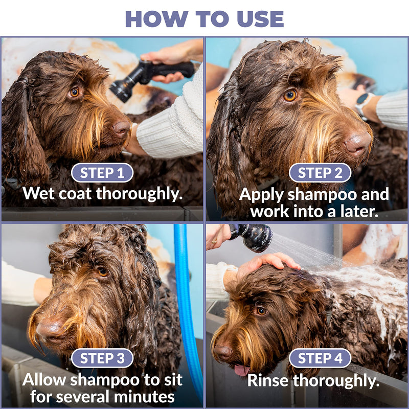 Puppy Shampoo & Conditioner | Made in USA | Organic Ingredients | Tear Free | Best Shampoo for Puppies | Sensitive & Itchy Skin Wash | Oatmeal Bathing | Tearless, Lavender, 8oz [We Love Doodles] - BeesActive Australia
