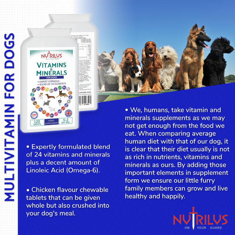 Vitamins and Minerals for Dogs - 120 Chewable Chicken Flavour Tablets - 24 Vitamins, Microelements and Omega 6 - Skin, Fur, Heart, Bones, Brain, Energy