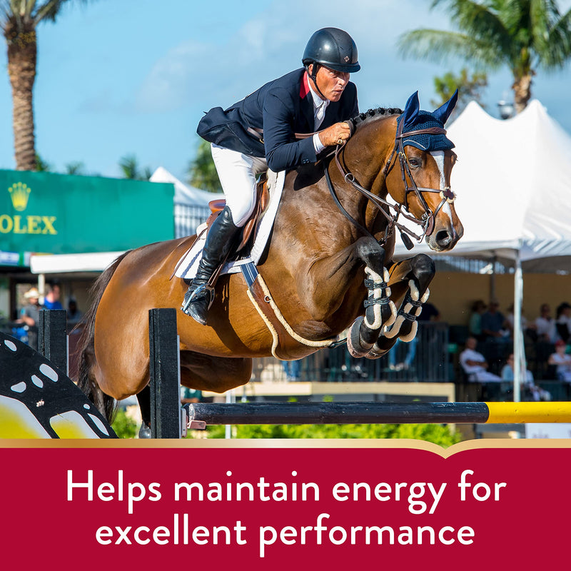 Pro Horse Lactanase Pre Performance Supplement, Show Safe, Single Serve Packet - BeesActive Australia
