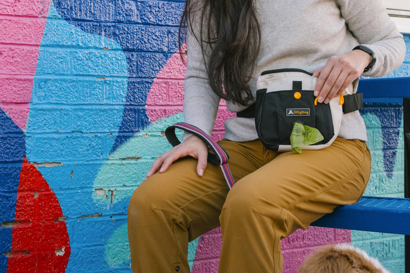 OllyDog Backcountry Day Bag, Fanny Pack, Dog Treat Pouch, Hands-Free for Training, Hip Pack with Built-in Poop Bag Dispenser, Removable Waist Belt Clip (Bluff) Bluff - BeesActive Australia