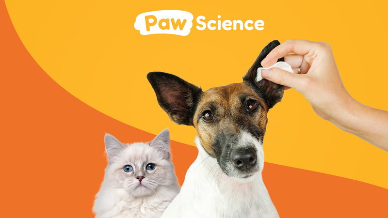 Paw Science Antibacterial & Antifungal Medicated Wipes for Dogs and Cats – 100 Count - Chlorhexidine Wipes with Ketoconazole for the Treatment of Rashes, Skin Infections, Itchy Paws, and Pet Acne