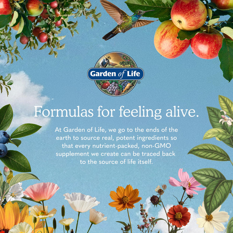 Garden of Life Vitamin Code Raw Iron Supplement - 30 Vegan Capsules, 22mg Once Daily Iron, Vitamins C, B12, Folate, Fruit, Veggies & Probiotics, Iron Supplements for Women, Energy & Anemia Support 1 Count (Pack of 30) Mineral Supplement