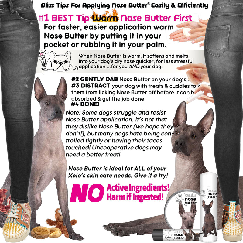 The Blissful Dog Xoloitzcuintli Nose Butter, Versatile Dog Nose Balm for Dry Nose, Handcrafted Nose Moisturizer, Easy-to-Apply Dog Essentials, Unscented, 0.15 oz. 0.15 Ounce - PawsPlanet Australia