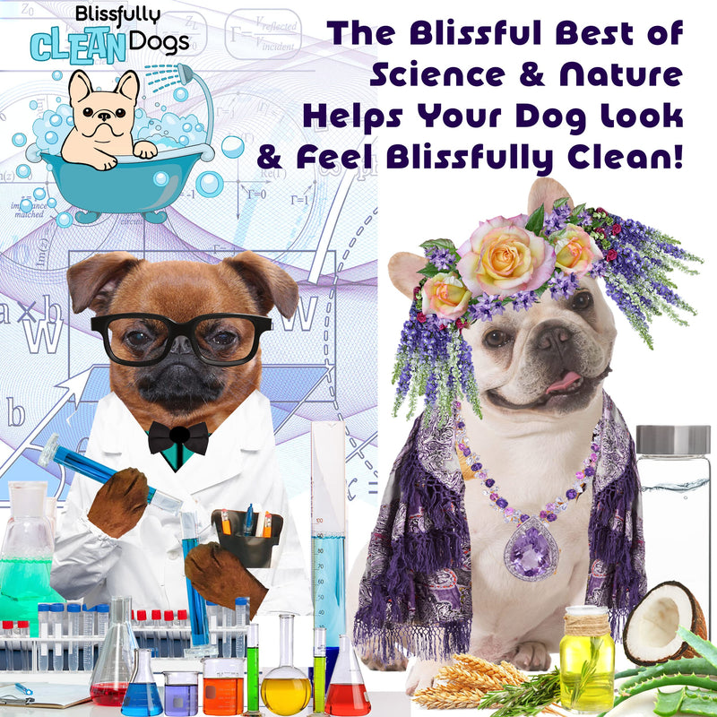 The Blissful Dog Stinky Filthy Dog Shampoo, 16 oz 16-Ounce - PawsPlanet Australia