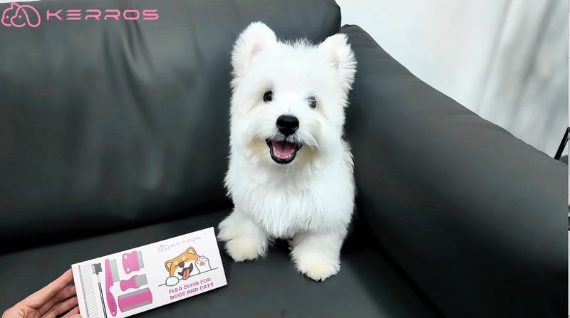 Kerros Flea Combs for Dogs and Cats, Stainless Steel Pet Grooming, 6 Pack