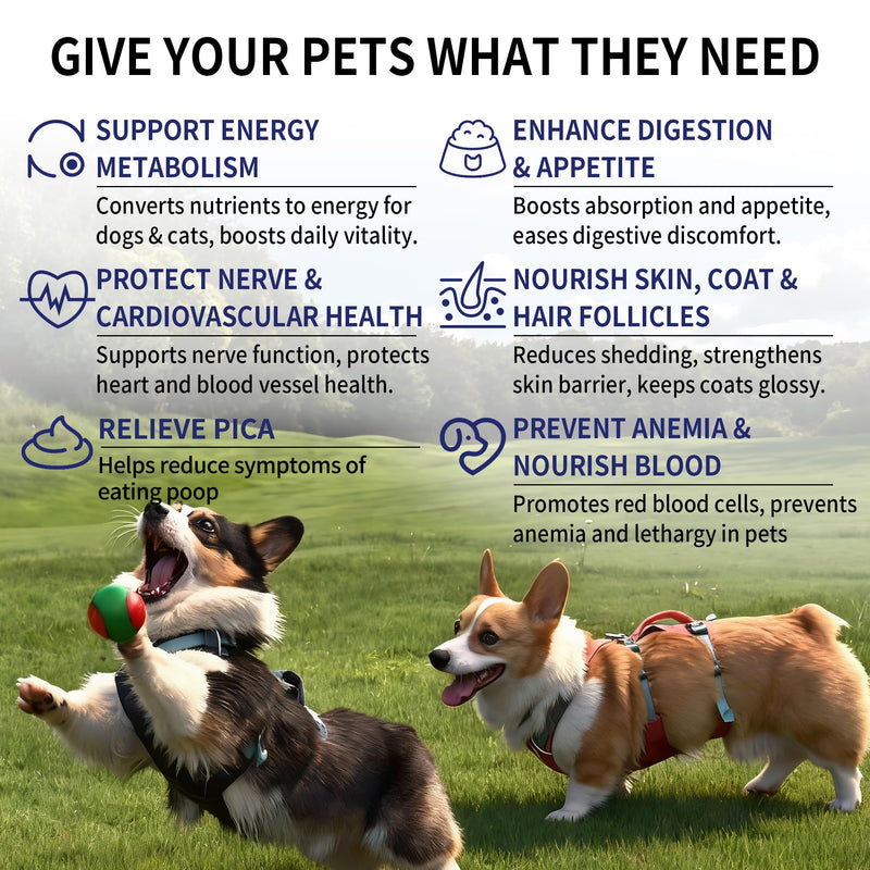 Vitamin B for Dogs, 200 Tablets, Vitamin B Complex Contains B12, B1, B2, B3, B5, B6, B7, B9 Supports Energy, Appetite, Digestive, Skin, Coat, Neurological Health, Suitable for Cats and Dogs(1 Bottle) Blue 1 Bottle (200pcs in total)
