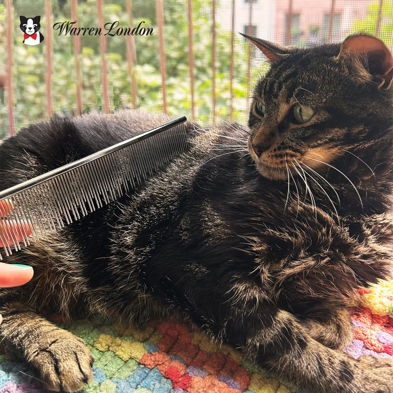 Carding Cat Comb | 7.5 inches made with Copper | Rounded Tips Prevent Irritation | Dual Tooth Design for Short & Long Hair removes Mats and Tangles Carding Cat Comb - BeesActive Australia