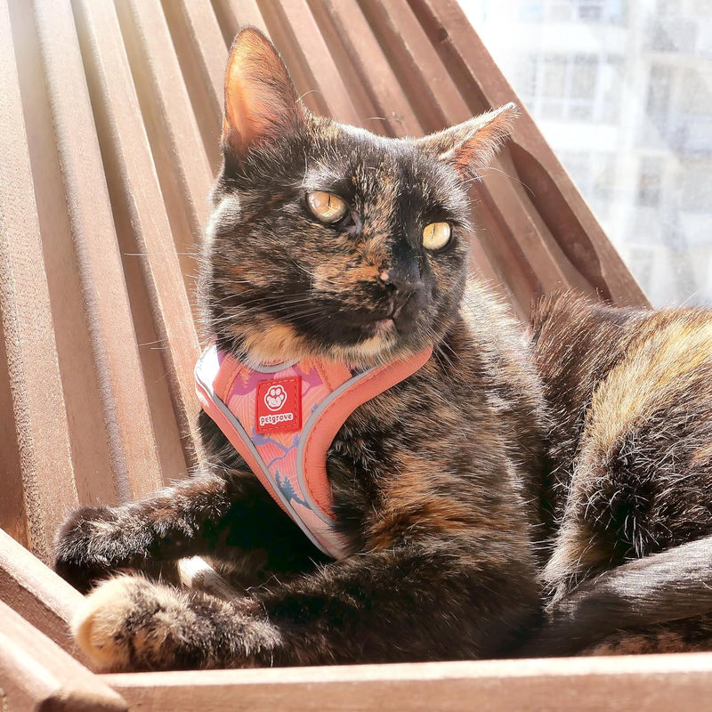 Cat Harness and Leash Set for Walking, Escape Proof Vest Harnesses for Cats, Breathable Mesh with Reflective Strips - (Sienna Mountains), X-Small Sienna Mountains - BeesActive Australia