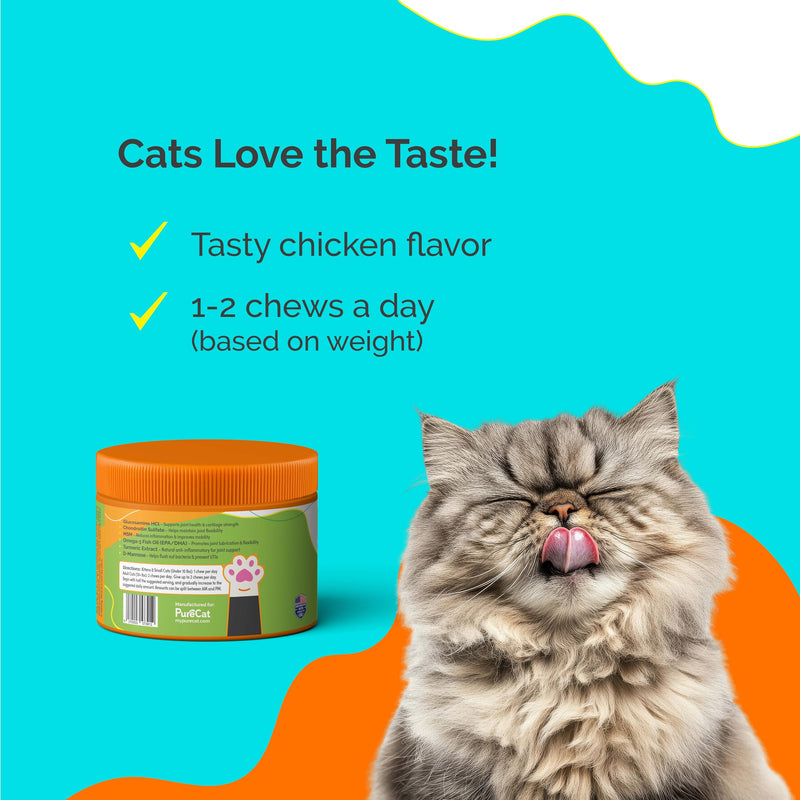 Joint Support Soft Chews Supplements | Cat Wellness Formula with Glucosamine | Joint Support & Pain Relief for Cats of All Ages | Vet-Approved Mobility Support | 200 Count