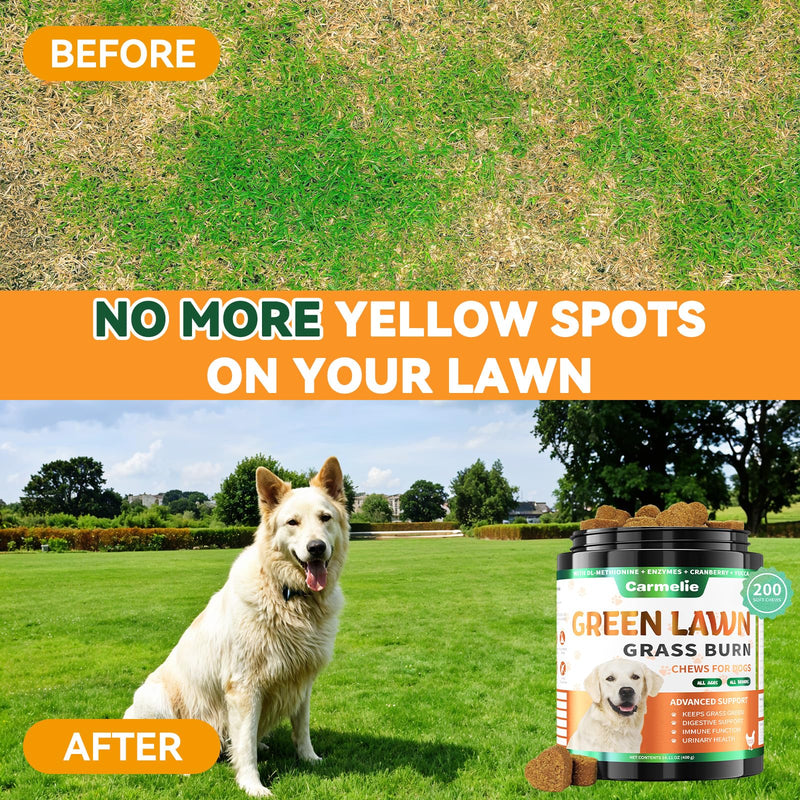 Lawn Spot & Flea Chews for Dogs - 200 Each - Flea & Tick Prevention with Skin Support + Grass Burn Spot Chews with Probiotics & DL-Methionine - Chicken Flavor