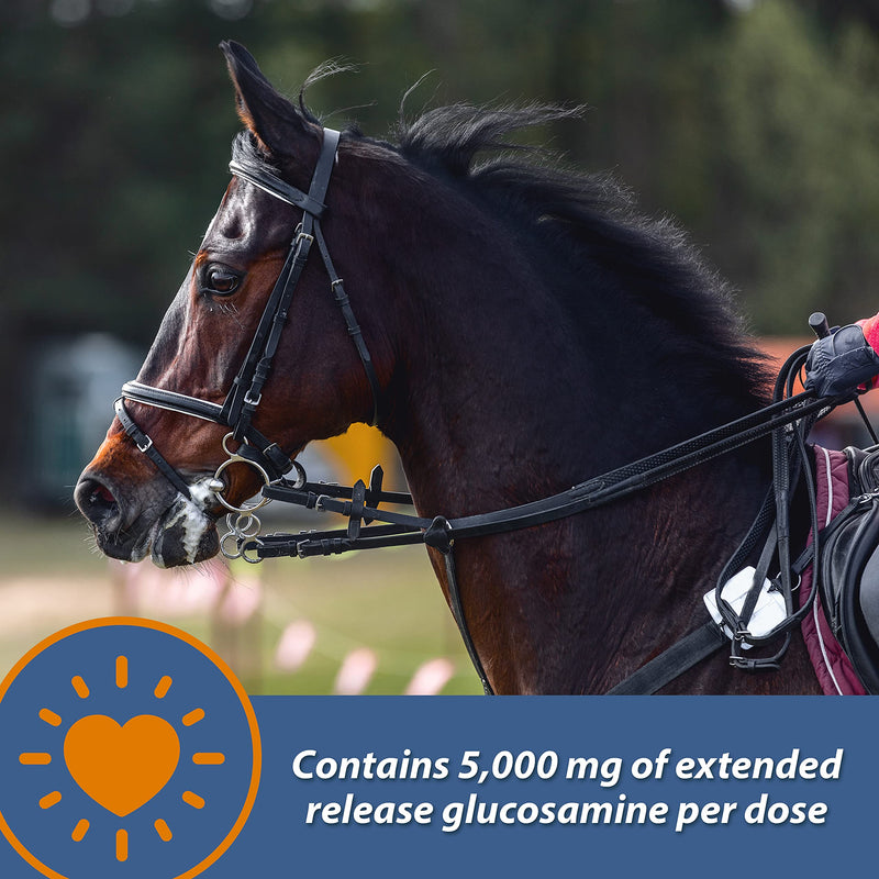 Farnam MaxFlex XR Extended Release Joint Supplement for Horses, Provides a continuous supply of joint health ingredients for 24 hours, 0.9375 pound, 30 Day Supply - BeesActive Australia