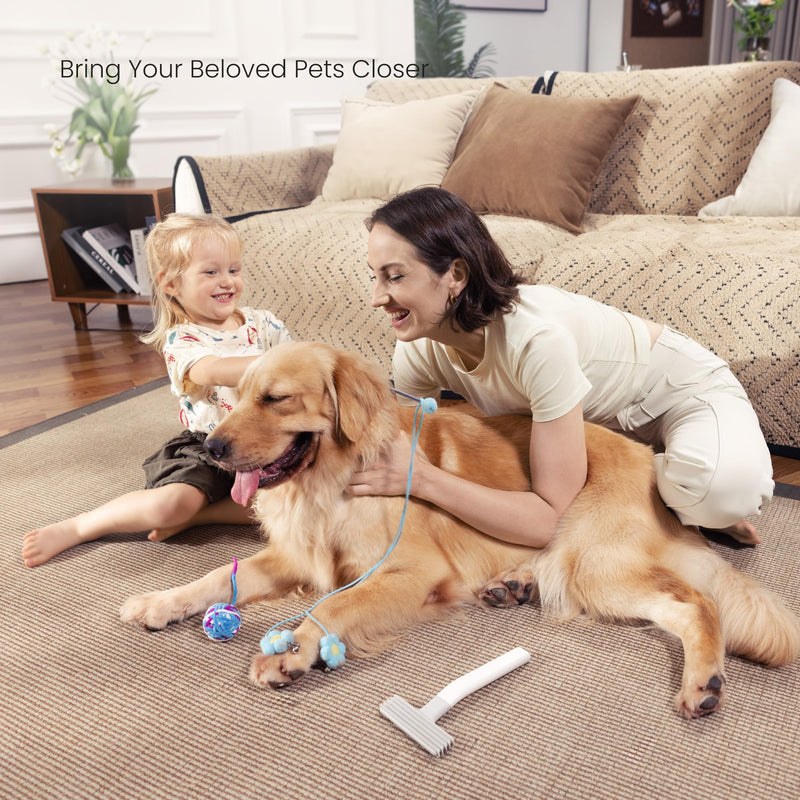Layer Brush Dog Hair Remover for Couch, Pet Hair Removal Tool for Raking up Embedded Hair and Debris, Reusable Fabric-Friendly Pet Hair remover for Couch, Car, Rug, Cat Tree and Others - BeesActive Australia