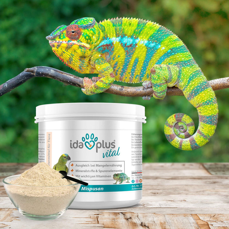 Ida Plus - Mispusan powder 200 g - mineral feed with vitamin D3, calcium and trace elements for amphibians, reptiles and birds - budgies, canaries, parrots and bearded dragons - minerals - BeesActive Australia
