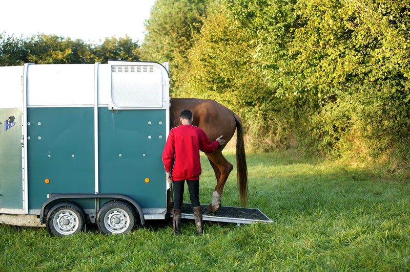 "BE COOL" COOKIES for a "Chilled Out" CALM COOL Horse - With Ashwagandha and B Vitamins