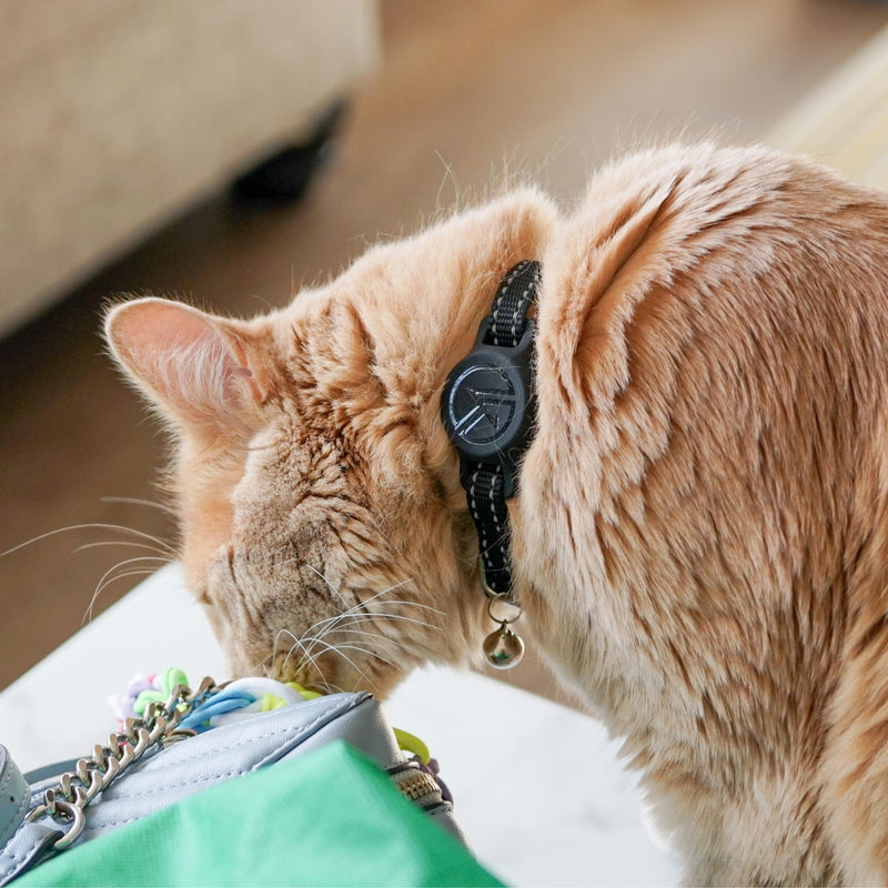 Tile Sticker Cat Collar Holder: The Smallest, Lightest, and Most Comfortable Tracking Case for Cats - Track Your Pet With iPhone Samsung Android Device - GPS For Boy Girl Kittens (Black) Black - BeesActive Australia