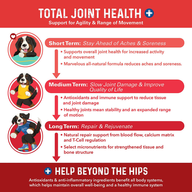 Bernie's Marvelous Mobility Dog Joint Support, 90 Chews 90 Count
