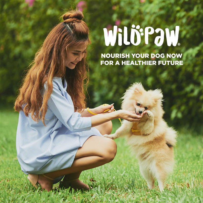 WonderBites for Fast Allergy Relief - Pet Supplement to Support Itchy Skin & Allergy Relief - Dog Skin & Coat Health Supplement - 90 Soft Chews - PawsPlanet Australia