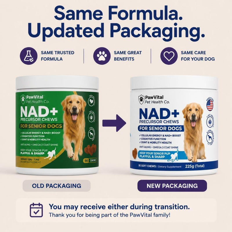 NAD+ Precursor Chews for Senior Dogs – Cellular Energy, Longevity & Cognitive Support – Nicotinamide Riboside, Resveratrol, Quercetin, Glucosamine, Omega-3 – Made with Real Chicken – 90 Count