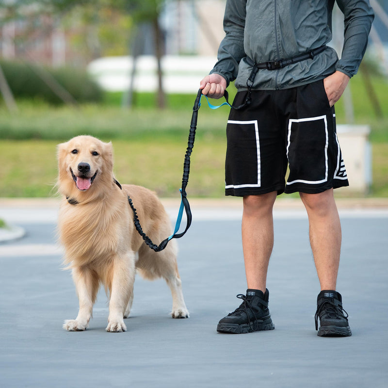 iYoShop Hands Free Dog Leash with Zipper Pouch, Dual Padded Handles and Durable Bungee for Walking, Jogging and Running Your Dog (Large, 25-120 lbs, Black) Large - BeesActive Australia