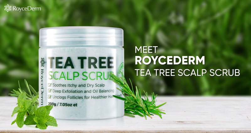 Roycederm Tea Tree Scalp Scrub – Pre-Shampoo Exfoliating Treatment for Dry, Flaky Scalp – Deep Cleansing, Refreshing & Balancing Formula for Healthy-Looking Hair