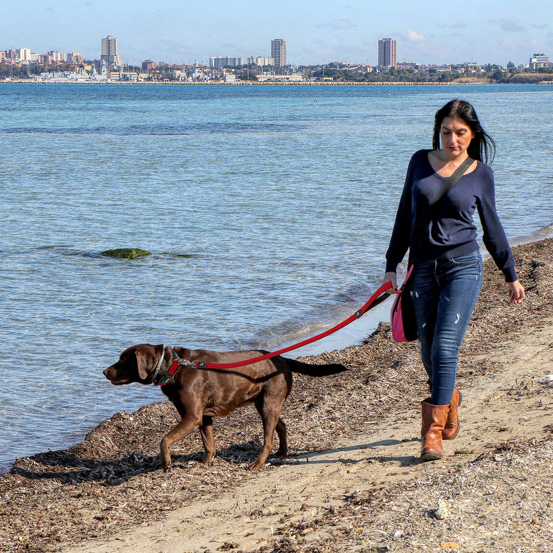 Kruz Premier 5ft Dog Mesh Leash - KZA1160-14M/L - Lightweight, Breathable, Comfort Puffy Mesh Leash - Secure Dual-Layered Tangle-Free Mesh Lead for Dog Walking, Running, Training - Red - 1" x 5 FT Large: 1" x 5 FT - BeesActive Australia