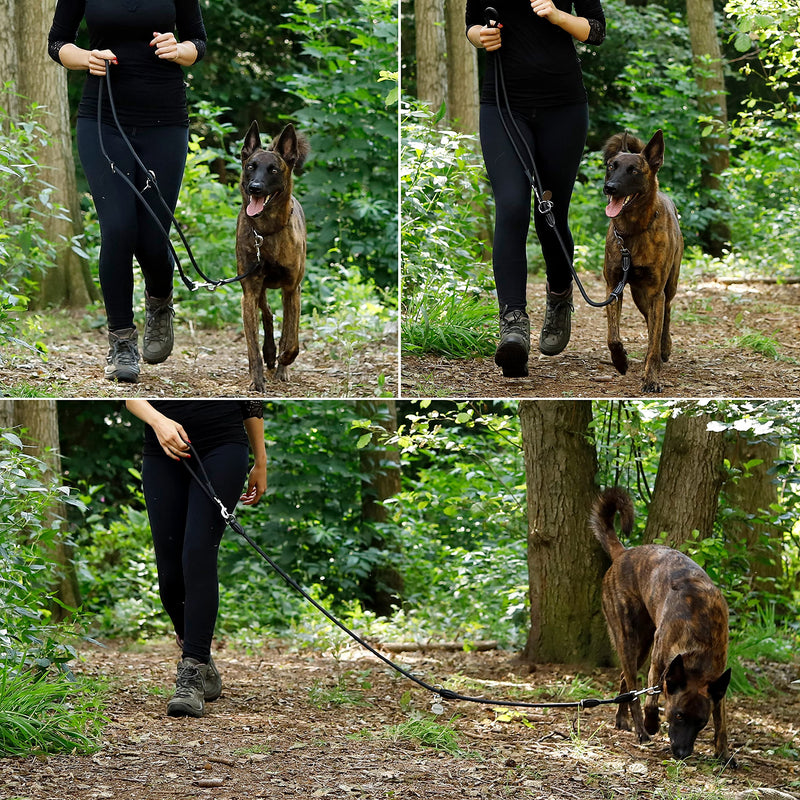 lionto multifunctional leash adjustable for all dogs, weatherproof neck leash up to 200 cm, robust dog leash easy to clean, versatile leash with rust-proof stainless steel carabiners, black - BeesActive Australia