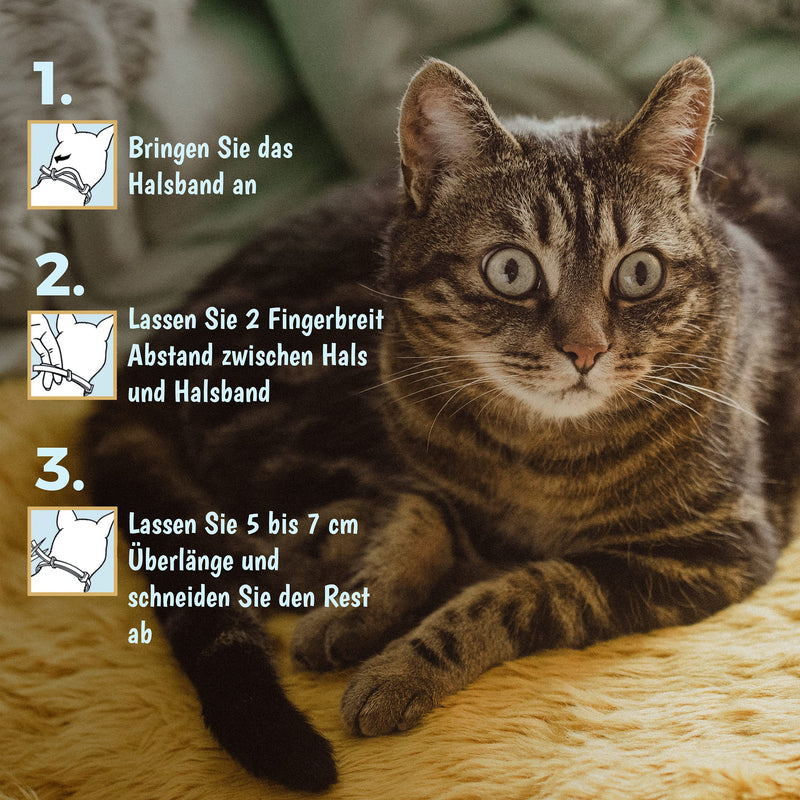 Ubica® tick collar for cats - flea collar for cats - tick protection - flea treatment for cats - formula with essential oils (lemongrass) - 100% WATERPROOF 3 tick clips free - BeesActive Australia
