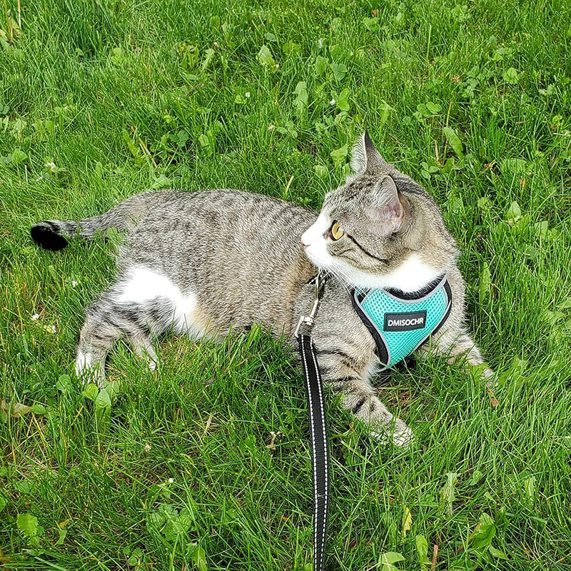 Cat Harness and Leash Set for Walking Escape Proof - Reflective Adjustable Cat Vest Harness for Small to Large Cat Puppy - Cute Mesh Breathable Soft Cat Full Body Harness M (neck:11"-14.3" chest:16"-20") Cyan - BeesActive Australia