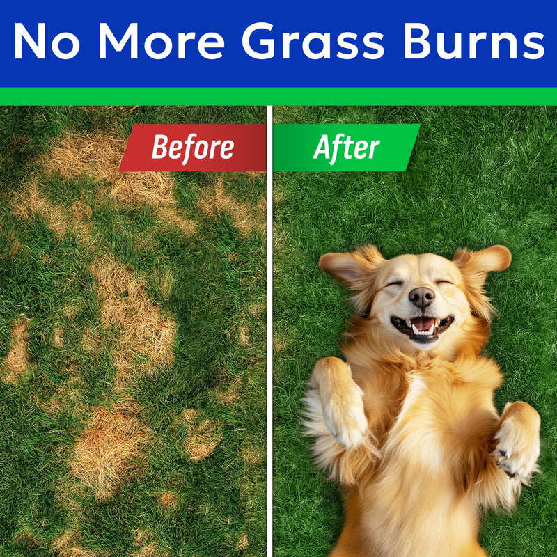 Green Grass Dog Chews + Dog Probiotics Bundle - Pee Grass Spot Saver Caused by Dog Urine - Digestive Enzymes & Gas, Diarrhea, Constipation Relief Supplement - Made in USA